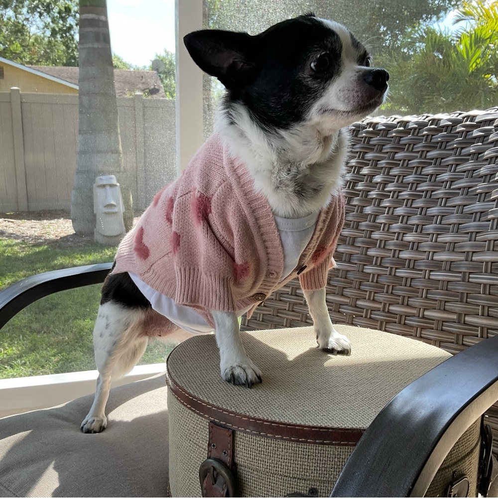 Pet Sweater Pink Cardigan with Fuzzy Hearts size small